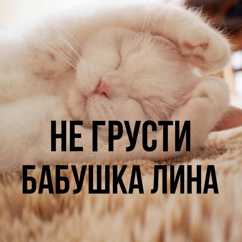 Открытка на каждый день с именем, Бабушка-Лина Не грусти Котенок спит Прикольная открытка с пожеланием онлайн скачать бесплатно 
