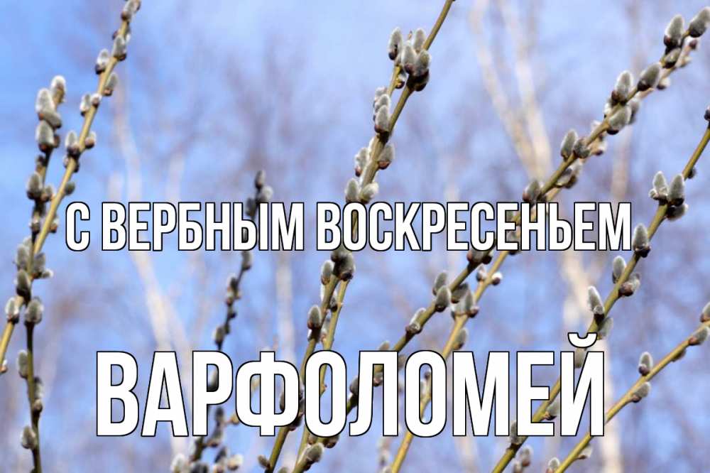 Открытка на каждый день с именем, Варфоломей С вербным воскресеньем верба Прикольная открытка с пожеланием онлайн скачать бесплатно 