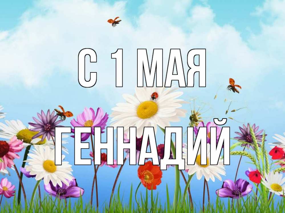 Открытка на каждый день с именем, Геннадий С 1 мая С 1 мая Прикольная открытка с пожеланием онлайн скачать бесплатно 