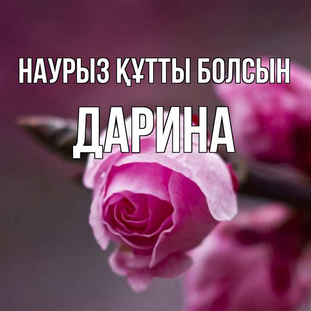Открытка на каждый день с именем, Дарина Наурыз құтты болсын весна Прикольная открытка с пожеланием онлайн скачать бесплатно 