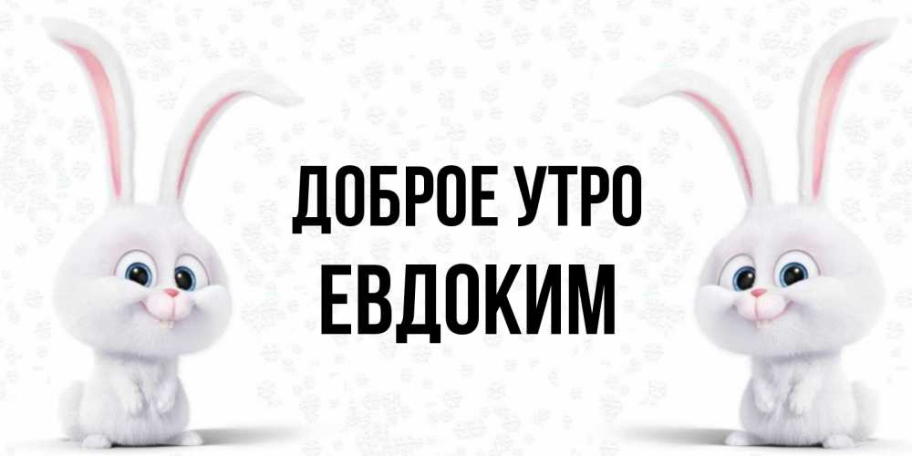 Открытка на каждый день с именем, Евдоким Доброе утро кролики с длинными ушками Прикольная открытка с пожеланием онлайн скачать бесплатно 