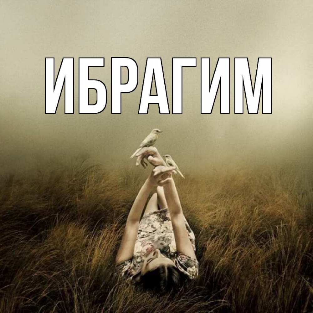 Открытка на каждый день с именем, Ибрагим Главная поле и туман Прикольная открытка с пожеланием онлайн скачать бесплатно 
