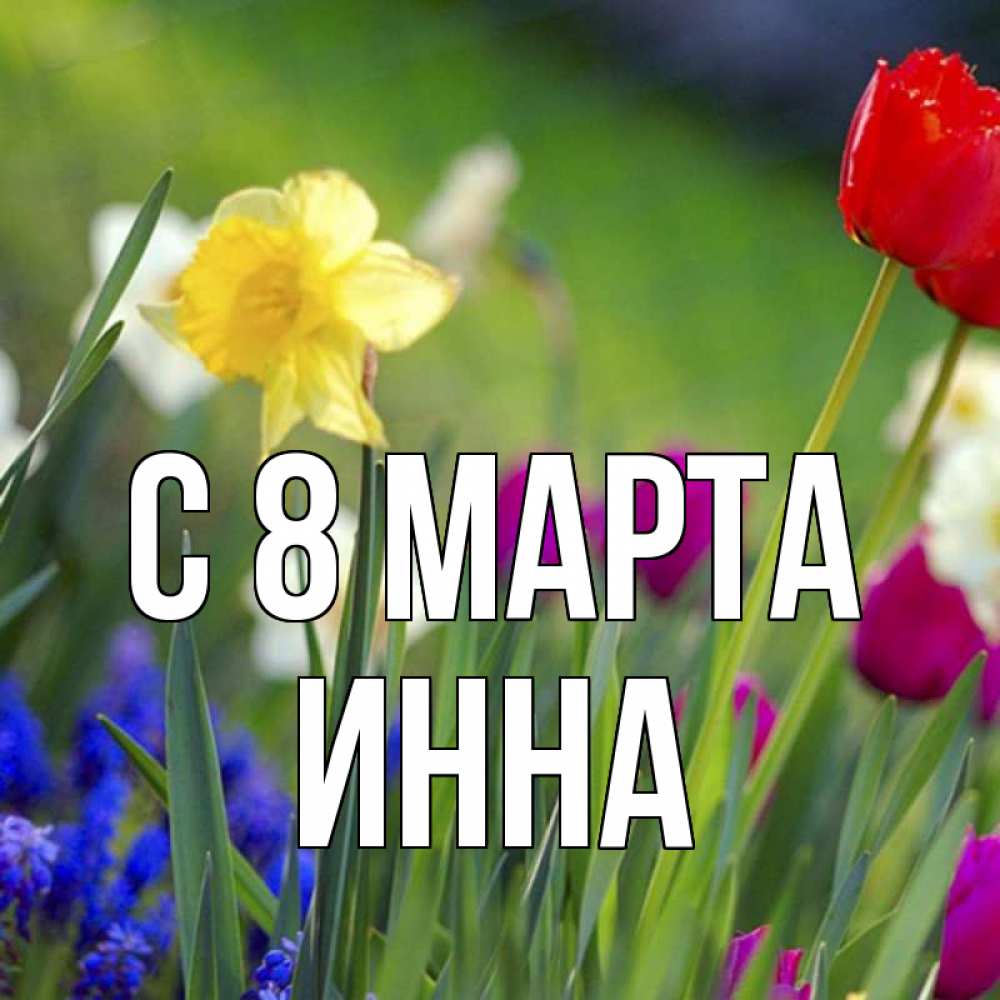 Открытка на каждый день с именем, Инна С 8 МАРТА международный женский день 3 Прикольная открытка с пожеланием онлайн скачать бесплатно 