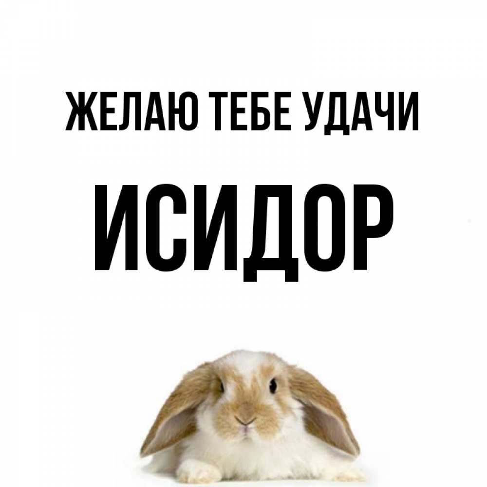 Открытка на каждый день с именем, Исидор Желаю тебе удачи открытки с произвольным текстом который можно вставить в открытку и создать ее самостоятельно бесплатно онлайн Прикольная открытка с пожеланием онлайн скачать бесплатно 
