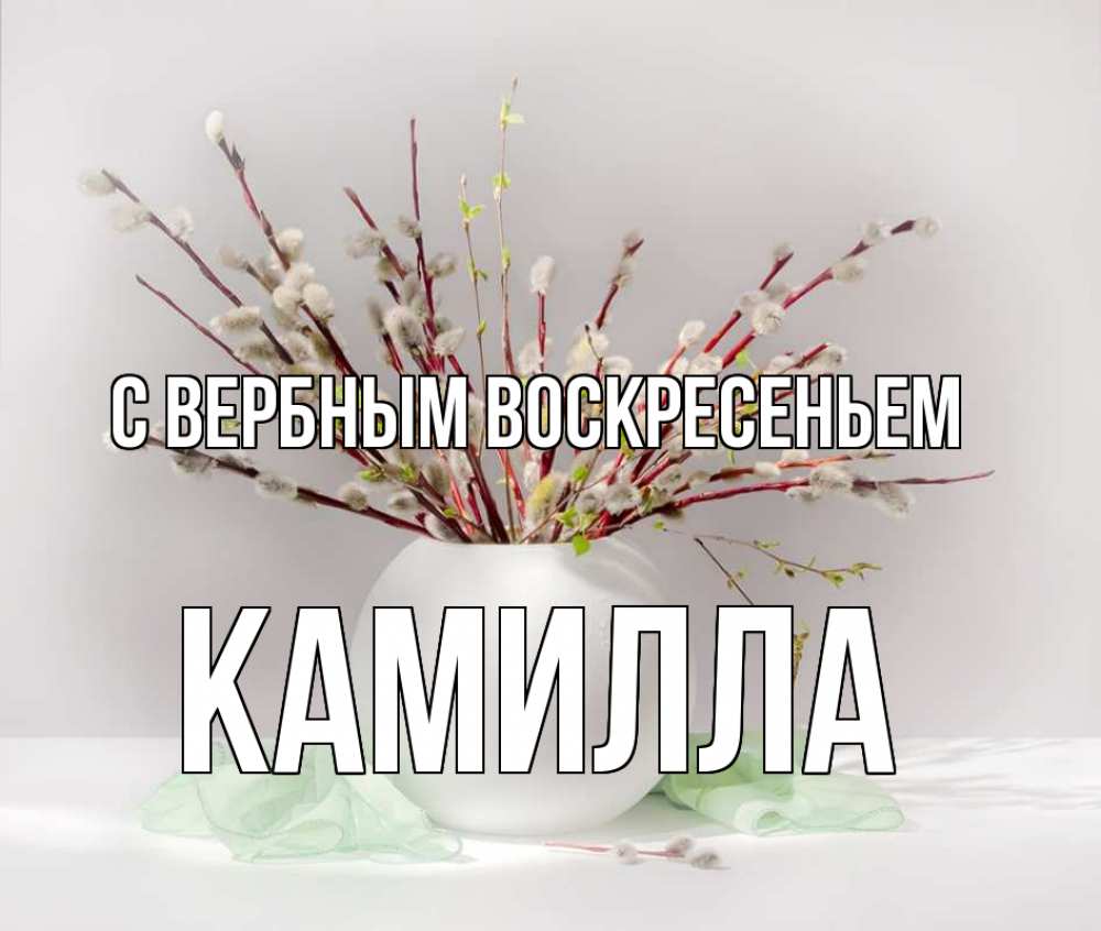 Открытка на каждый день с именем, Камилла С вербным воскресеньем верба Прикольная открытка с пожеланием онлайн скачать бесплатно 