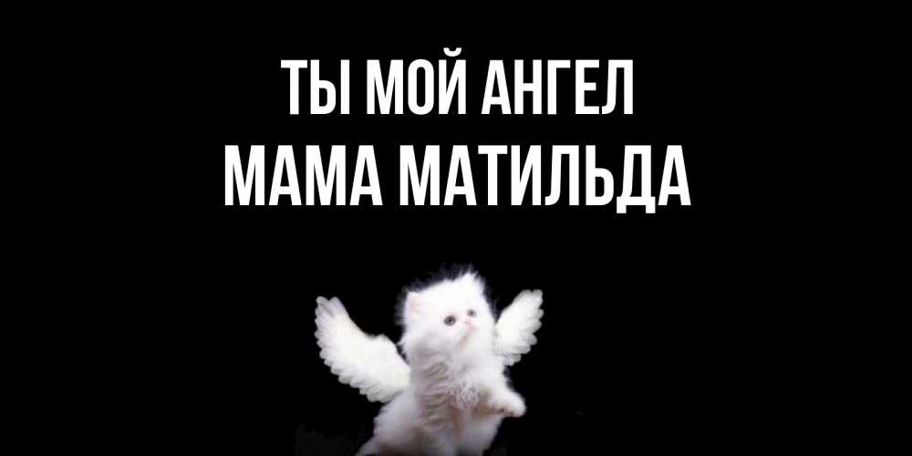 Открытка на каждый день с именем, Мама-Матильда Ты мой ангел Кот ангел Прикольная открытка с пожеланием онлайн скачать бесплатно 