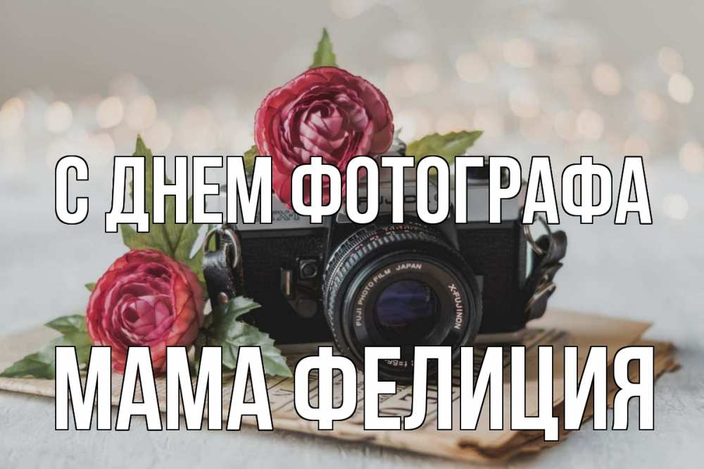 Открытка на каждый день с именем, Мама-Фелиция С днем фотографа с днем фотографа Прикольная открытка с пожеланием онлайн скачать бесплатно 