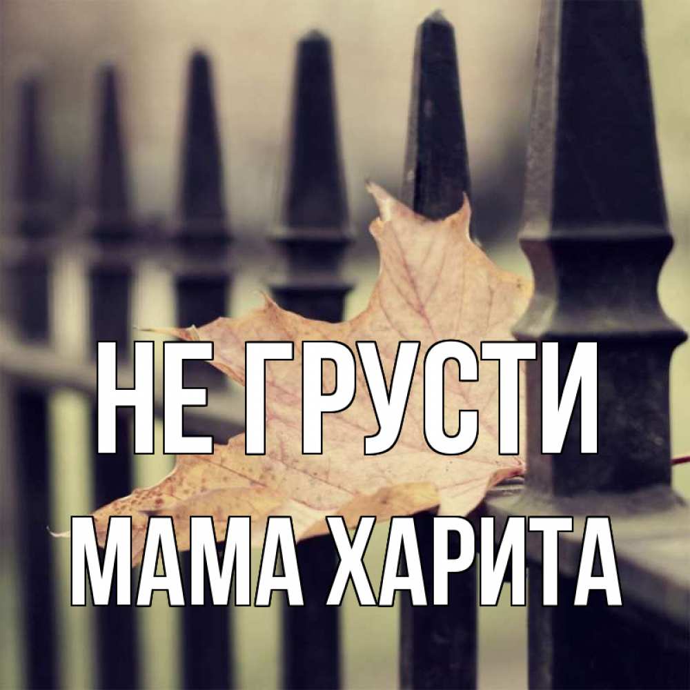 Открытка на каждый день с именем, Мама-Харита Не грусти лист клена Прикольная открытка с пожеланием онлайн скачать бесплатно 