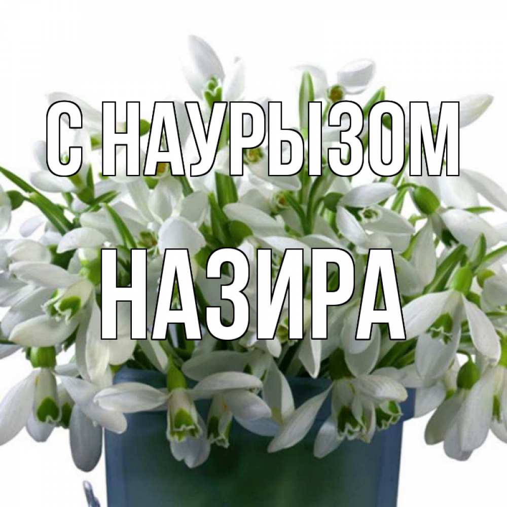 Открытка на каждый день с именем, Назира С наурызом цветы к наурызу новый год в Казахстане Прикольная открытка с пожеланием онлайн скачать бесплатно 