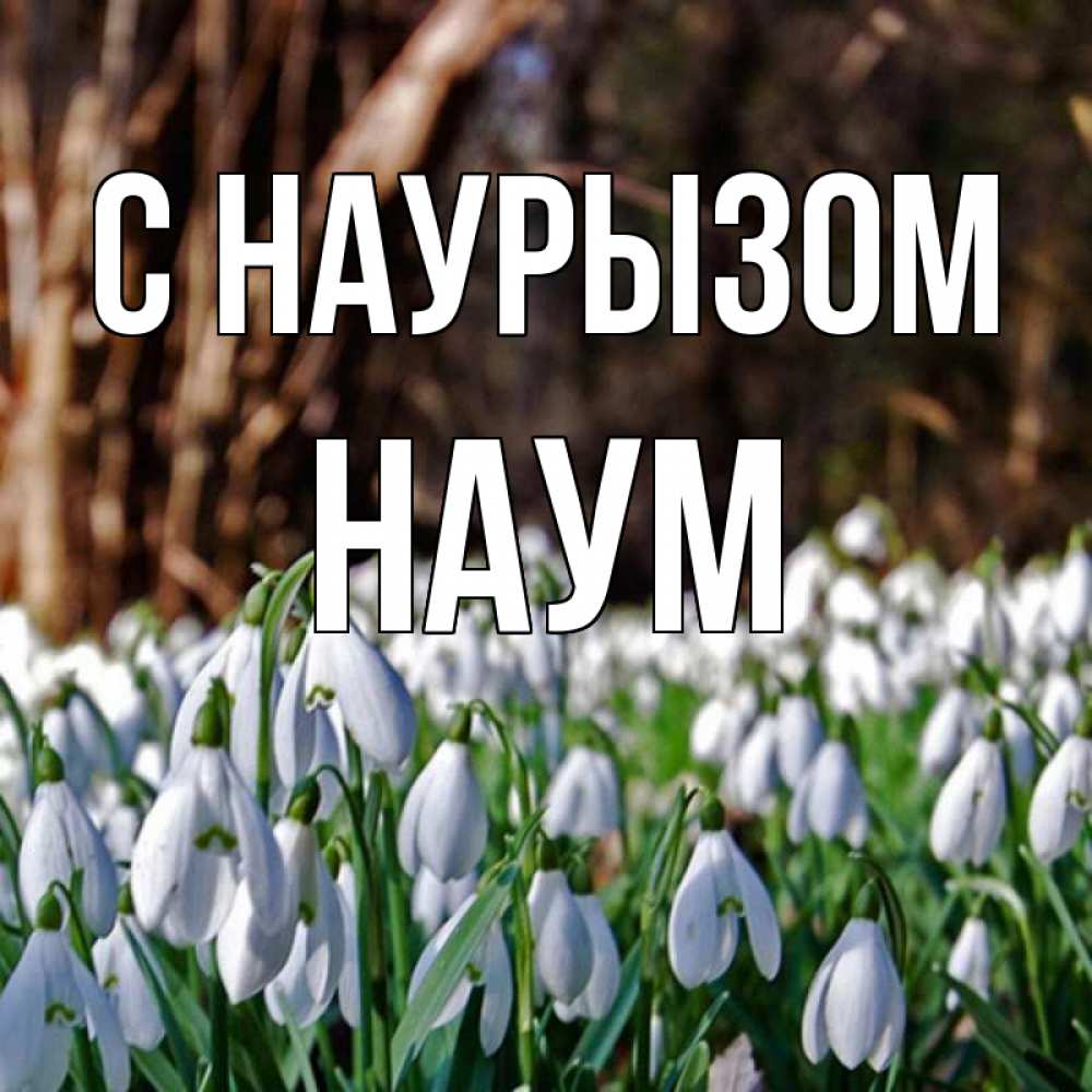 Открытка на каждый день с именем, Наум С наурызом с подснежниками 1 Прикольная открытка с пожеланием онлайн скачать бесплатно 