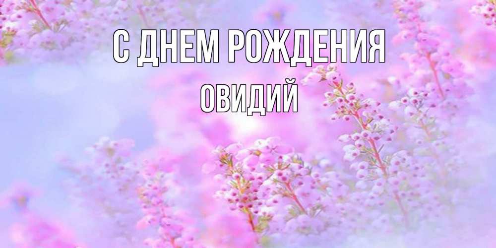 Открытка на каждый день с именем, Овидий С днем рождения красивая открытка с мелкими цветами Прикольная открытка с пожеланием онлайн скачать бесплатно 
