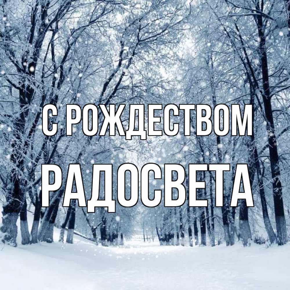 Открытка на каждый день с именем, Радосвета С рождеством снег, лес, парк Прикольная открытка с пожеланием онлайн скачать бесплатно 
