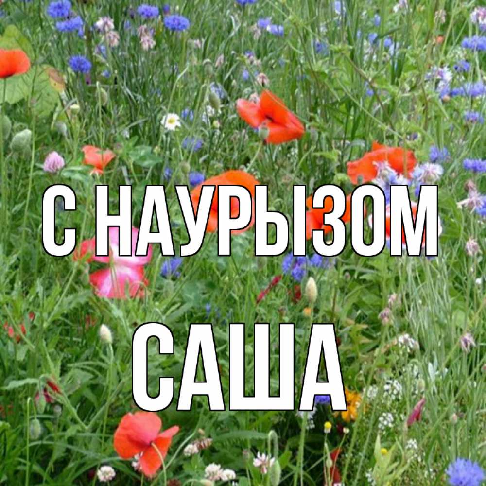 Открытка на каждый день с именем, Саша С наурызом праздник весны наурыз супер открытка Прикольная открытка с пожеланием онлайн скачать бесплатно 