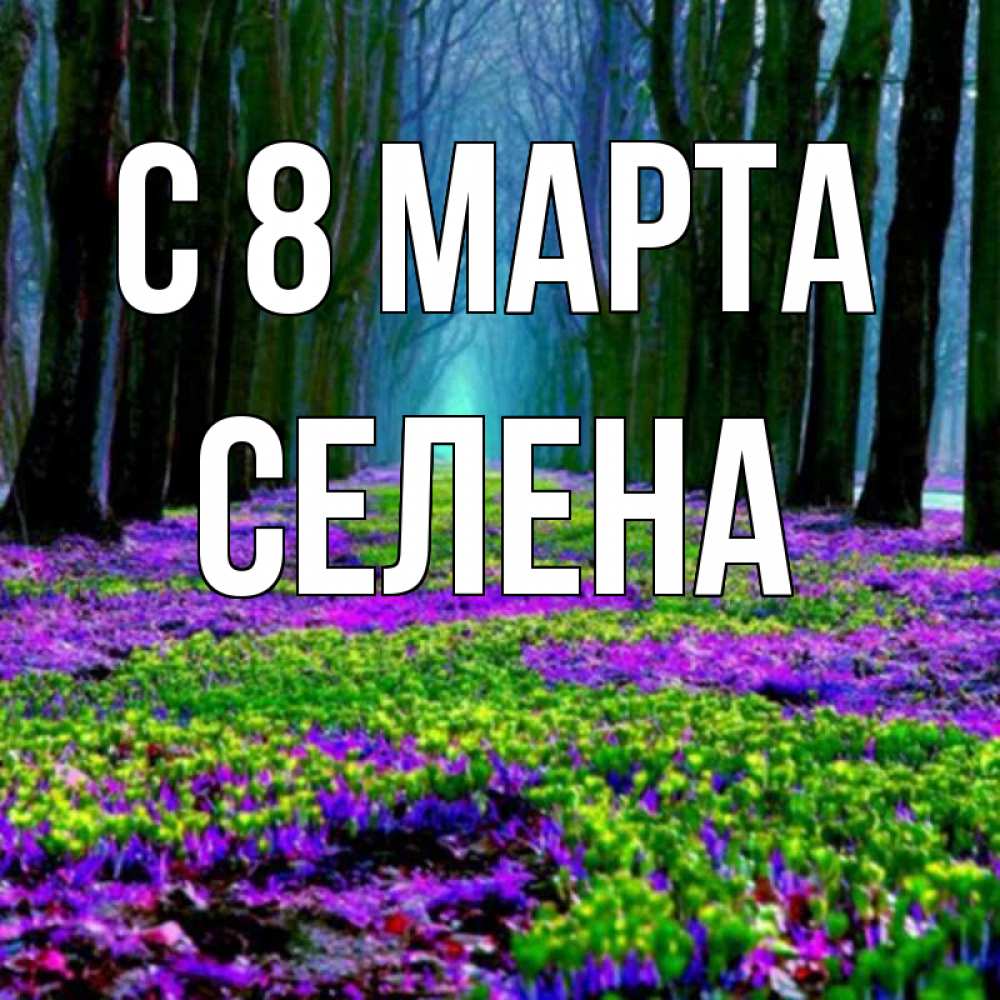 Открытка на каждый день с именем, Селена С 8 МАРТА фиолетовые цветы в лесу 1 Прикольная открытка с пожеланием онлайн скачать бесплатно 