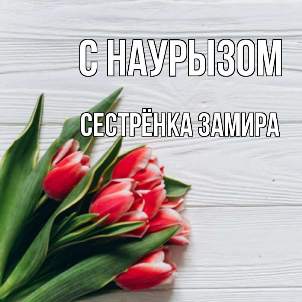 Открытка на каждый день с именем, Сестрёнка-Замира С наурызом весна 2 Прикольная открытка с пожеланием онлайн скачать бесплатно 