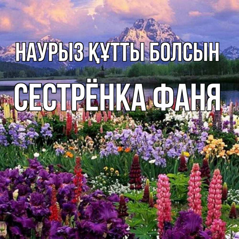 Открытка на каждый день с именем, Сестрёнка-Фаня Наурыз құтты болсын наурыз Прикольная открытка с пожеланием онлайн скачать бесплатно 