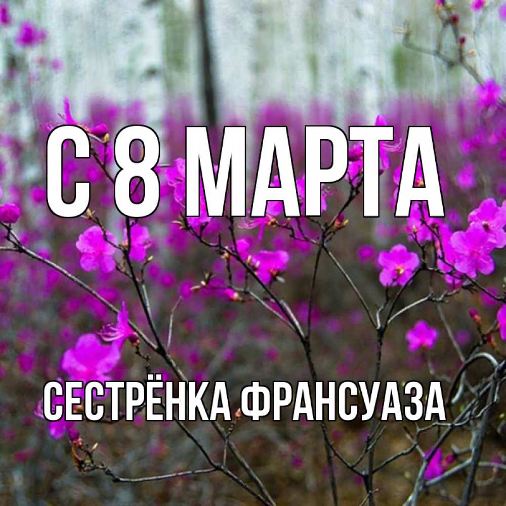 Открытка на каждый день с именем, Сестрёнка-Франсуаза С 8 МАРТА дикие цветы Прикольная открытка с пожеланием онлайн скачать бесплатно 