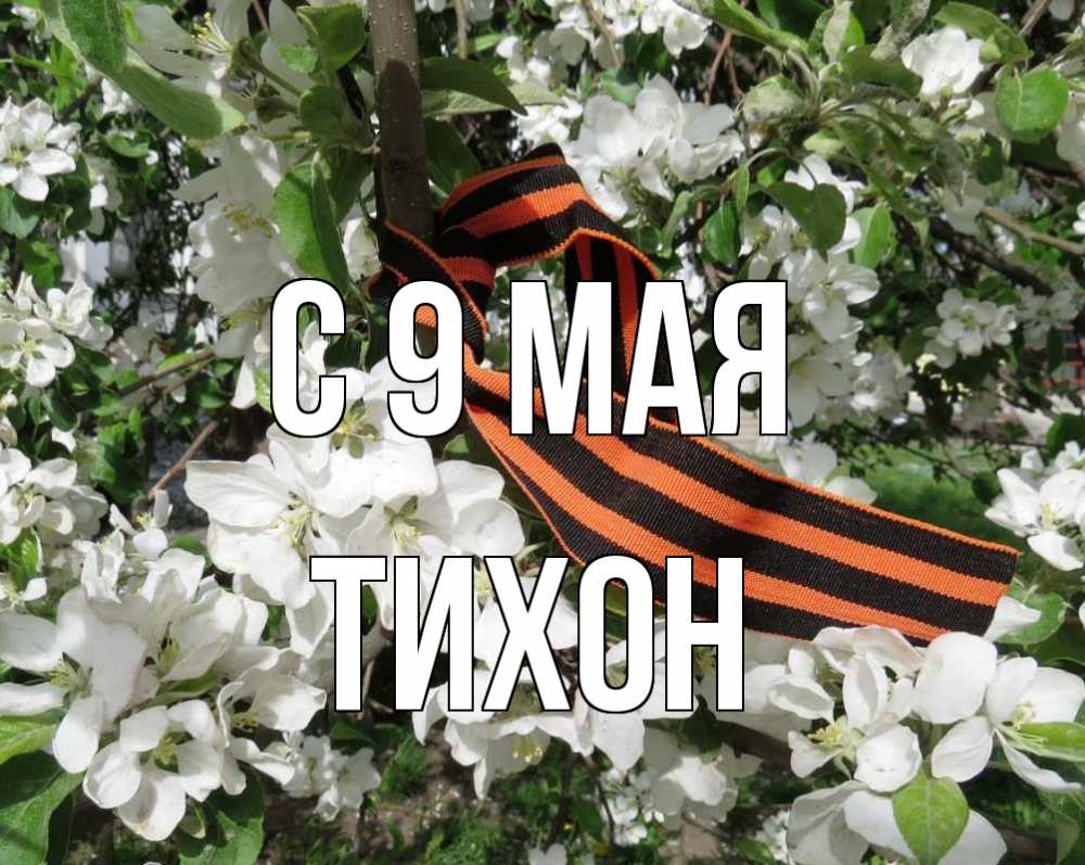 Открытка на каждый день с именем, Тихон С 9 мая 9 мая Прикольная открытка с пожеланием онлайн скачать бесплатно 