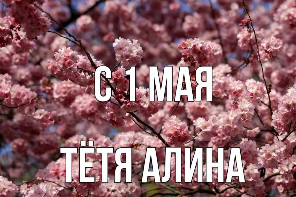 Открытка на каждый день с именем, Тётя-Алина С 1 мая С 1 мая Прикольная открытка с пожеланием онлайн скачать бесплатно 