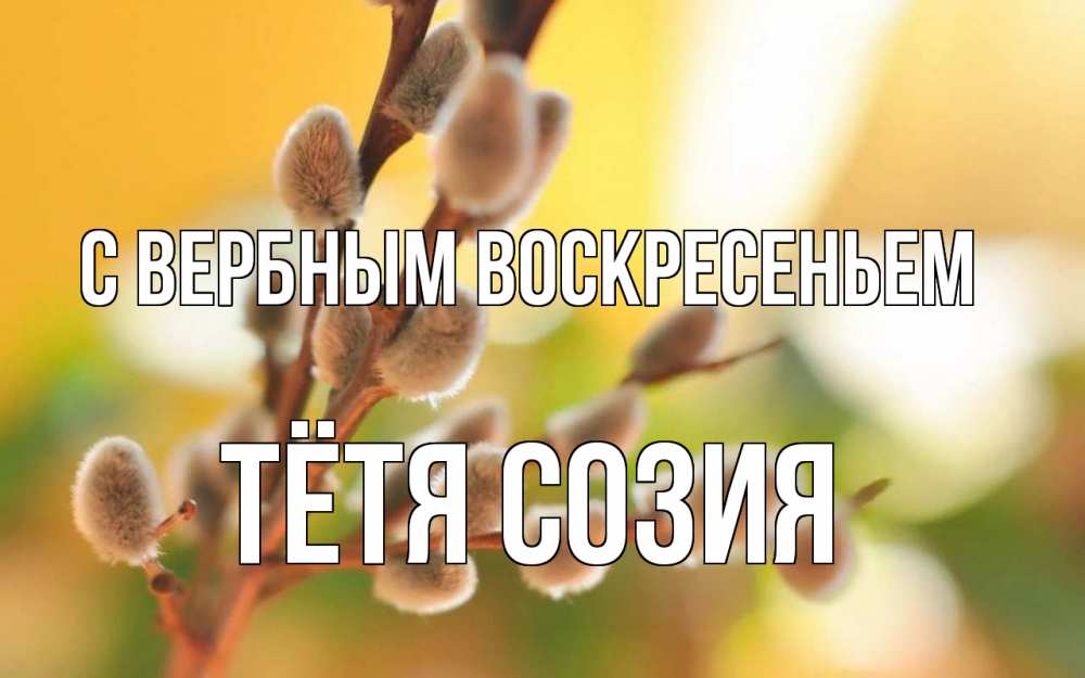 Открытка на каждый день с именем, Тётя-Созия С вербным воскресеньем верба Прикольная открытка с пожеланием онлайн скачать бесплатно 