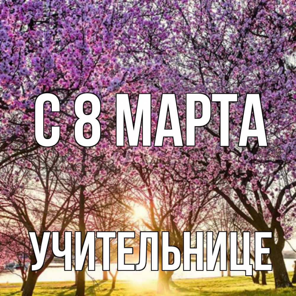 Открытка на каждый день с именем, Учительнице С 8 марта международный женский день Прикольная открытка с пожеланием онлайн скачать бесплатно 