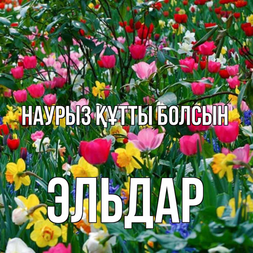 Открытка на каждый день с именем, Эльдар Наурыз құтты болсын с наурызом поздравления для женщины Прикольная открытка с пожеланием онлайн скачать бесплатно 
