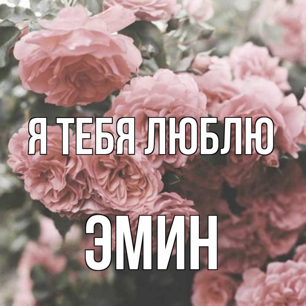 Открытка на каждый день с именем, Эмин Я тебя люблю розы 3 Прикольная открытка с пожеланием онлайн скачать бесплатно 