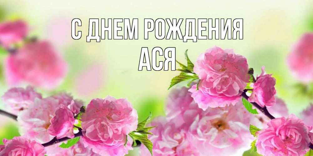 Открытка на каждый день с именем, ася С днем рождения веточки с цветками Прикольная открытка с пожеланием онлайн скачать бесплатно 