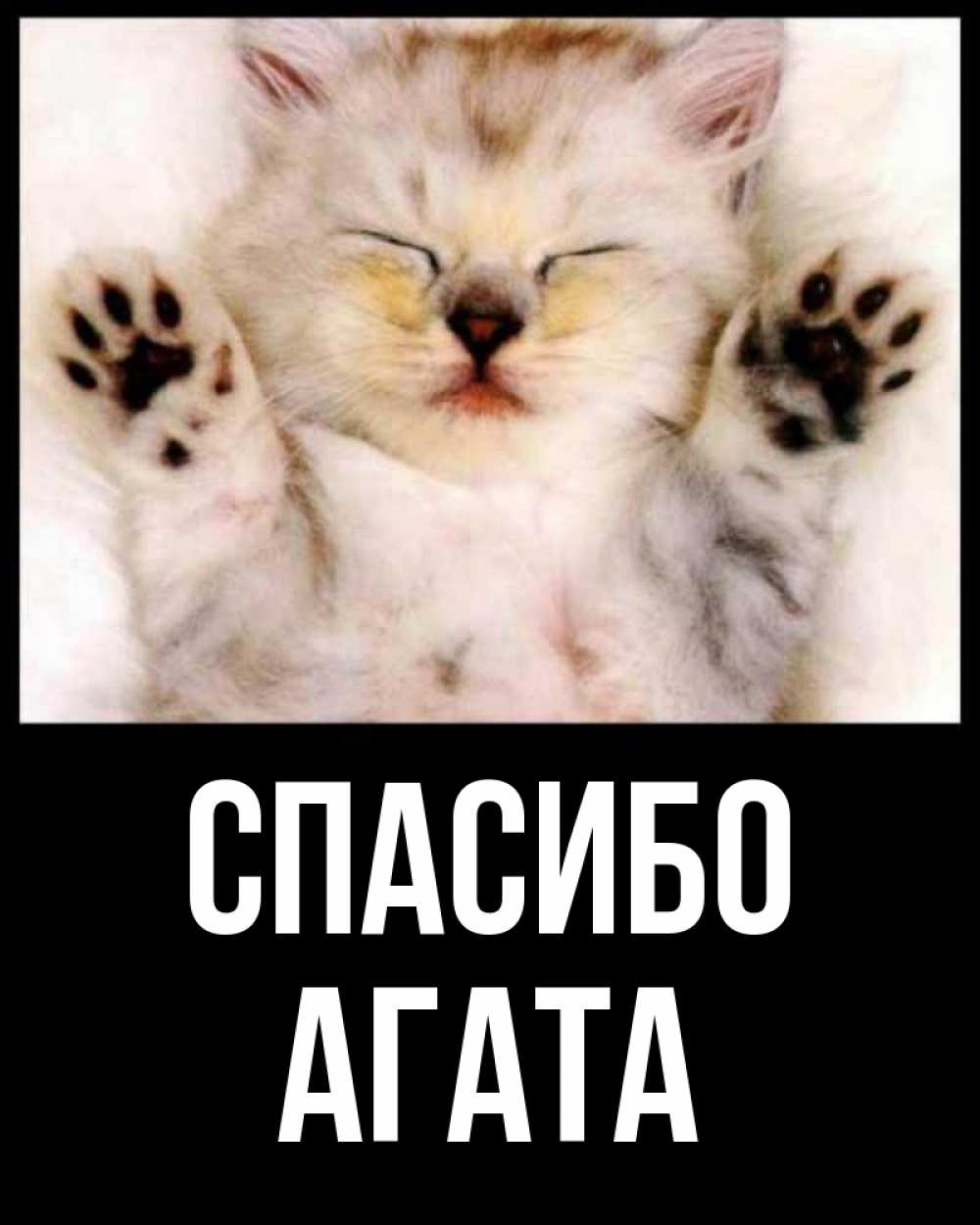 Открытка на каждый день с именем, Агата Спасибо маленький котенок Прикольная открытка с пожеланием онлайн скачать бесплатно 