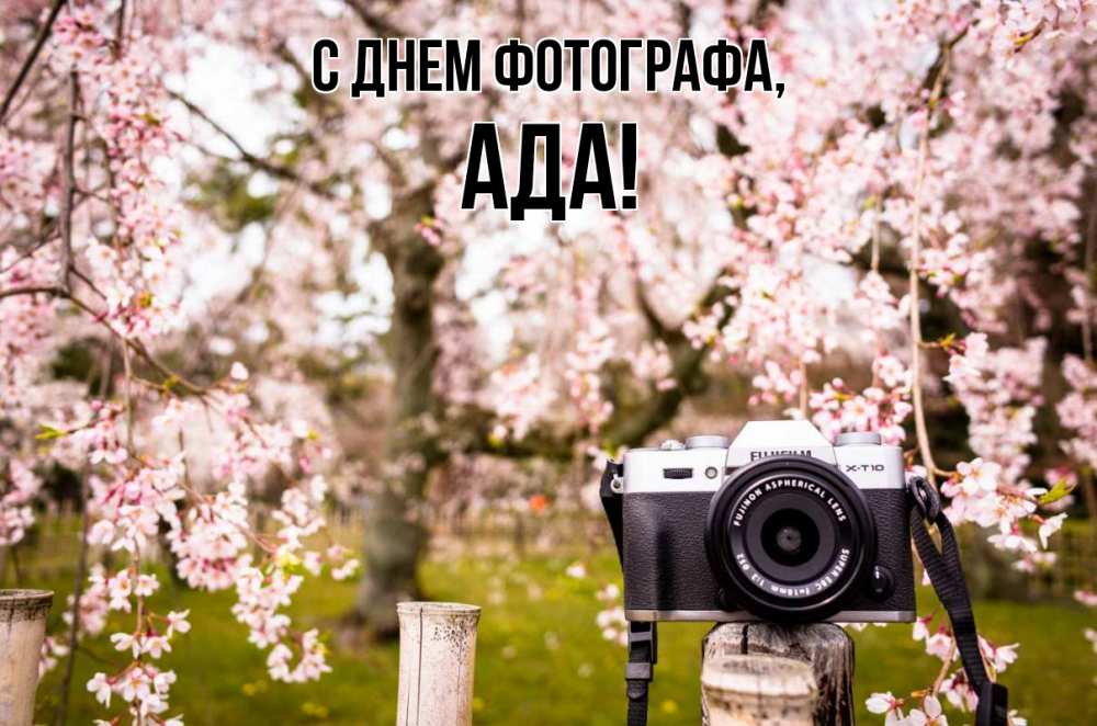 Открытка на каждый день с именем, Ада С днем фотографа сирень с днем фотографа, фотоаппарат Прикольная открытка с пожеланием онлайн скачать бесплатно 