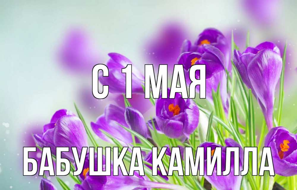 Открытка на каждый день с именем, Бабушка-Камилла С 1 мая 1 мая Прикольная открытка с пожеланием онлайн скачать бесплатно 