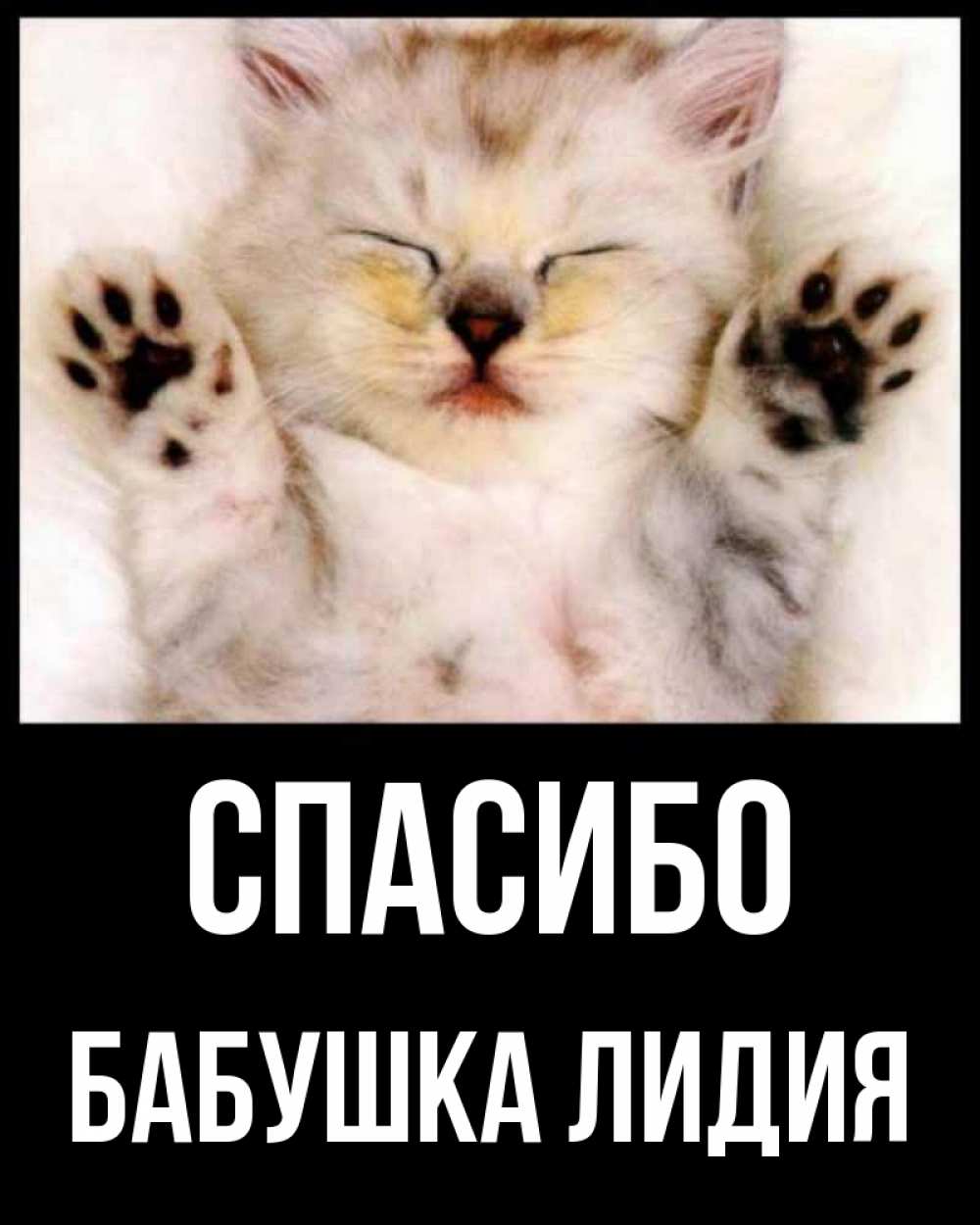 Открытка на каждый день с именем, Бабушка-Лидия Спасибо маленький котенок Прикольная открытка с пожеланием онлайн скачать бесплатно 