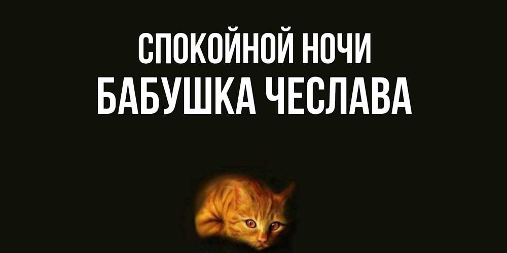 Открытка на каждый день с именем, Бабушка-Чеслава Спокойной ночи кот Прикольная открытка с пожеланием онлайн скачать бесплатно 