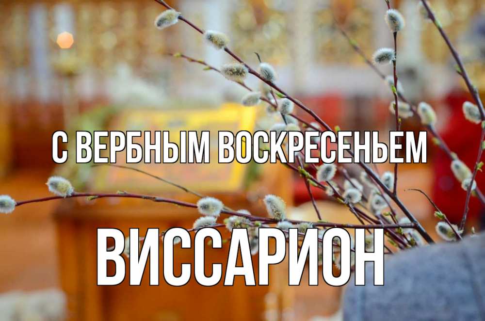 Открытка на каждый день с именем, Виссарион С вербным воскресеньем верба Прикольная открытка с пожеланием онлайн скачать бесплатно 
