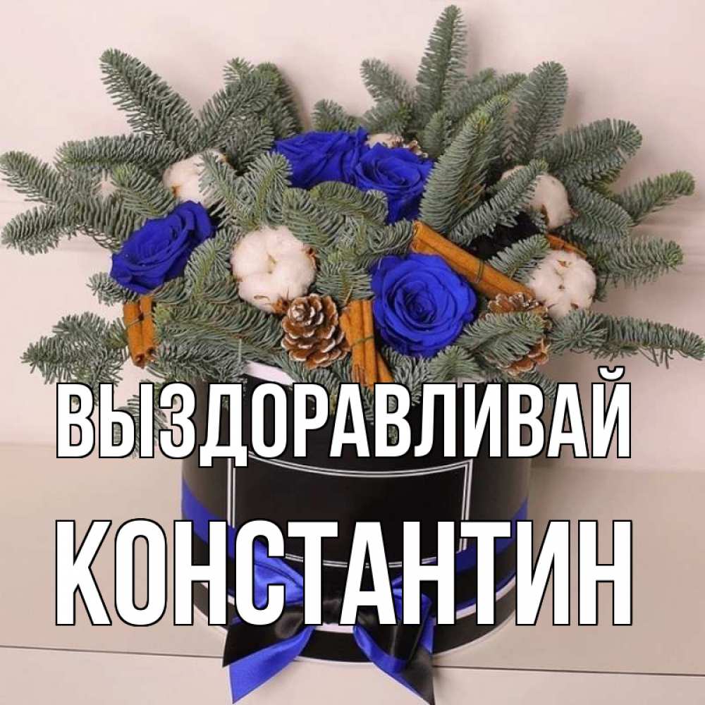 Открытка на каждый день с именем, Константин Выздоравливай короче кто то загрузил эти шишки Прикольная открытка с пожеланием онлайн скачать бесплатно 