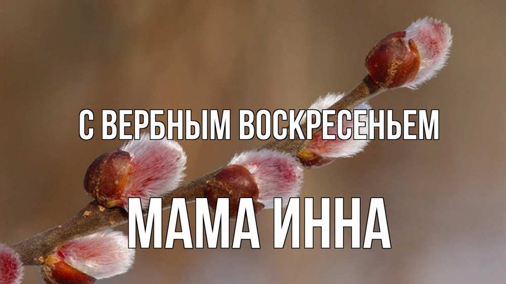 Открытка на каждый день с именем, Мама-Инна С вербным воскресеньем верба Прикольная открытка с пожеланием онлайн скачать бесплатно 