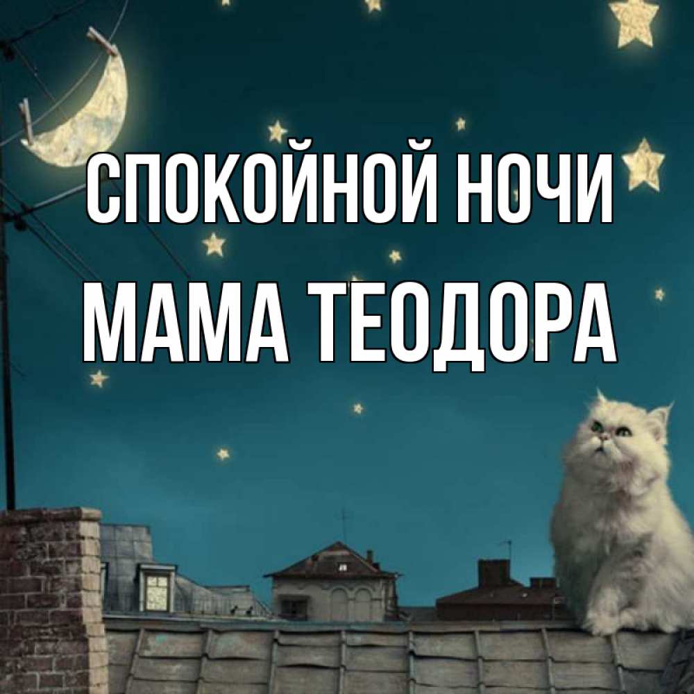 Открытка на каждый день с именем, Мама-Теодора Спокойной ночи белый кот сидит на крыше Прикольная открытка с пожеланием онлайн скачать бесплатно 
