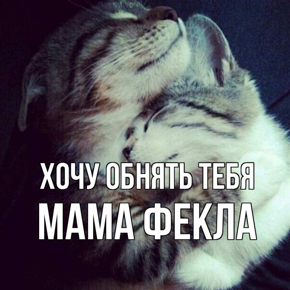 Открытка на каждый день с именем, Мама-Фекла Хочу обнять тебя полосатики Прикольная открытка с пожеланием онлайн скачать бесплатно 