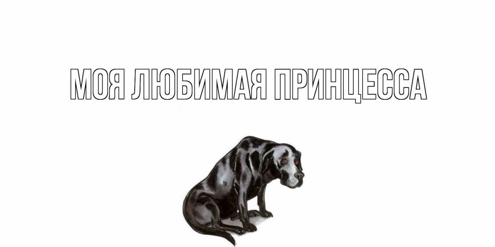 Открытка на каждый день с именем, Моя-Любимая-Принцесса Главная грустная собака на открытке с подписью прости меня Прикольная открытка с пожеланием онлайн скачать бесплатно 