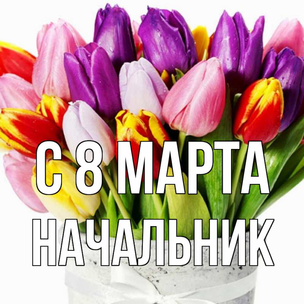 Открытка на каждый день с именем, Начальник С 8 МАРТА букет Прикольная открытка с пожеланием онлайн скачать бесплатно 