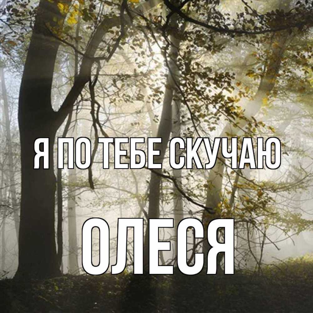 Открытка на каждый день с именем, Олеся Я по тебе скучаю грустно Прикольная открытка с пожеланием онлайн скачать бесплатно 