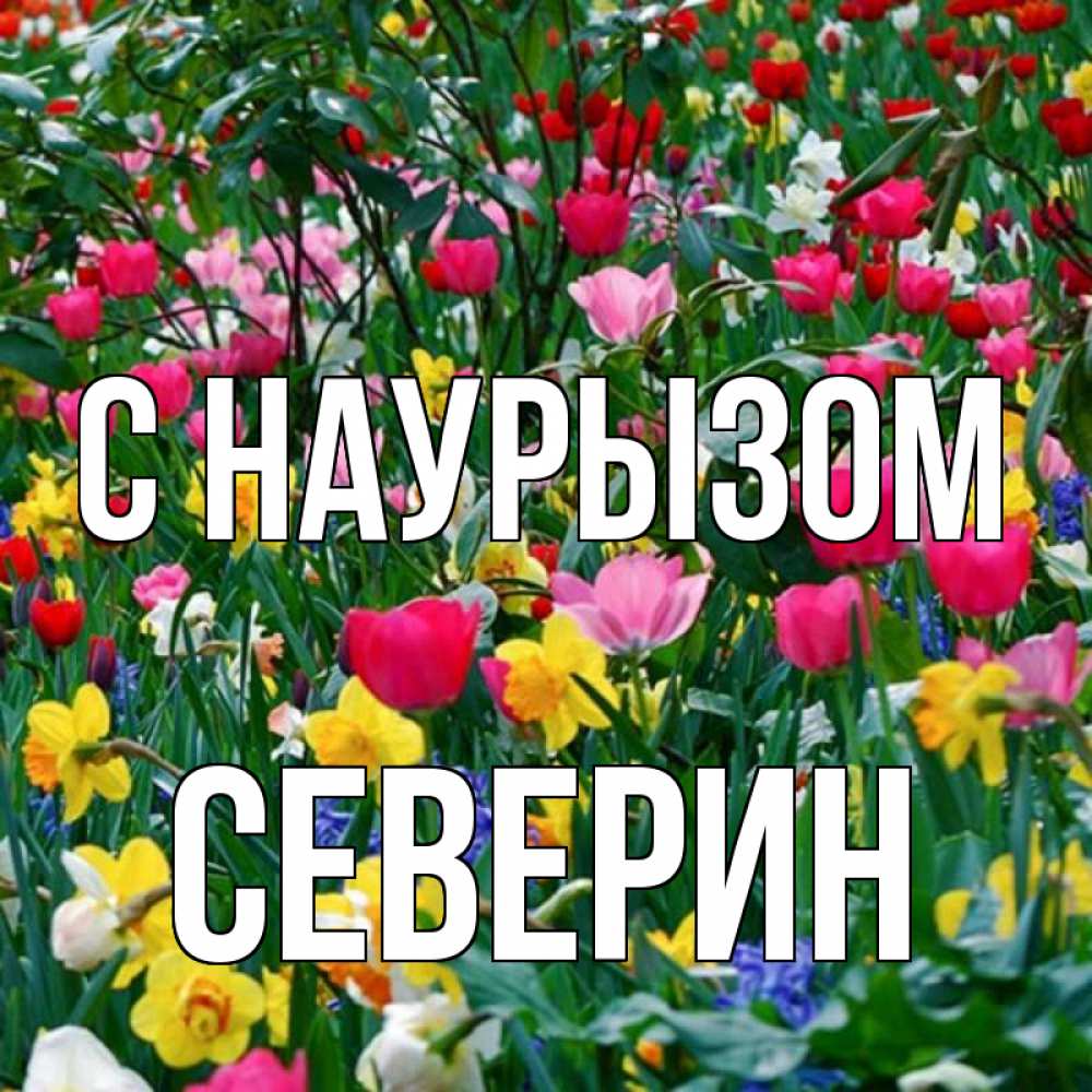 Открытка на каждый день с именем, Северин С наурызом с наурызом праздником весны поздравления для женщины Прикольная открытка с пожеланием онлайн скачать бесплатно 