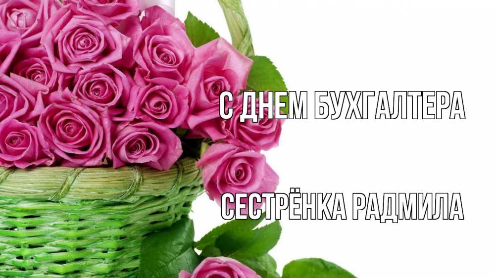 Открытка на каждый день с именем, Сестрёнка-Радмила С днем бухгалтера с днем бухгалтера Прикольная открытка с пожеланием онлайн скачать бесплатно 
