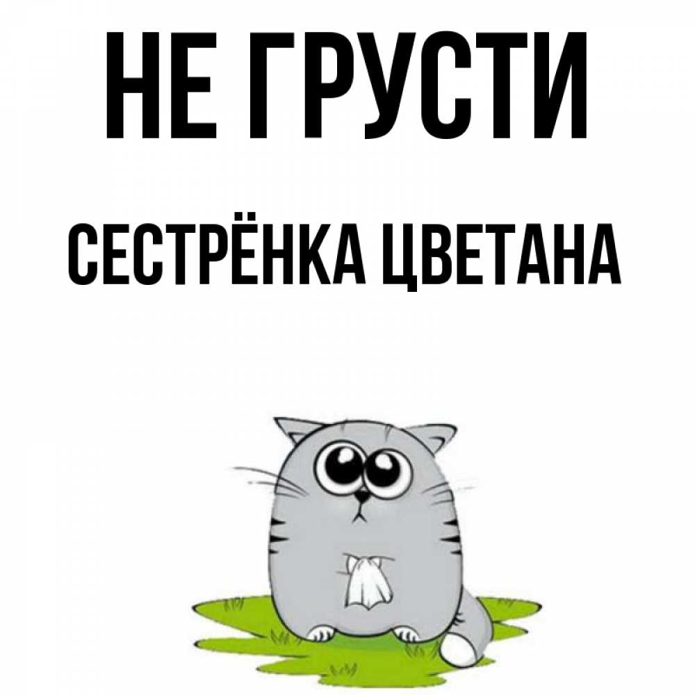 Открытка на каждый день с именем, Сестрёнка-Цветана Не грусти грустный котяра Прикольная открытка с пожеланием онлайн скачать бесплатно 