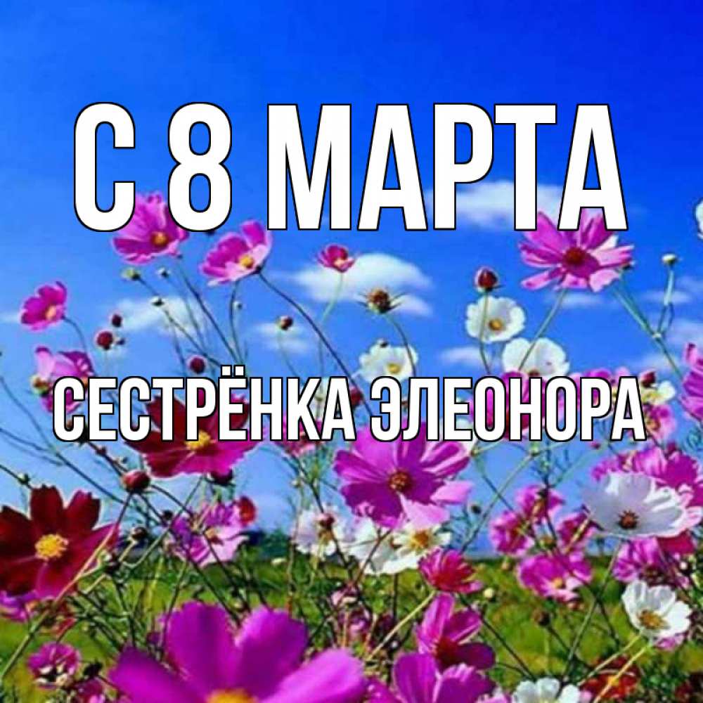 Открытка на каждый день с именем, Сестрёнка-Элеонора С 8 марта цветы Прикольная открытка с пожеланием онлайн скачать бесплатно 
