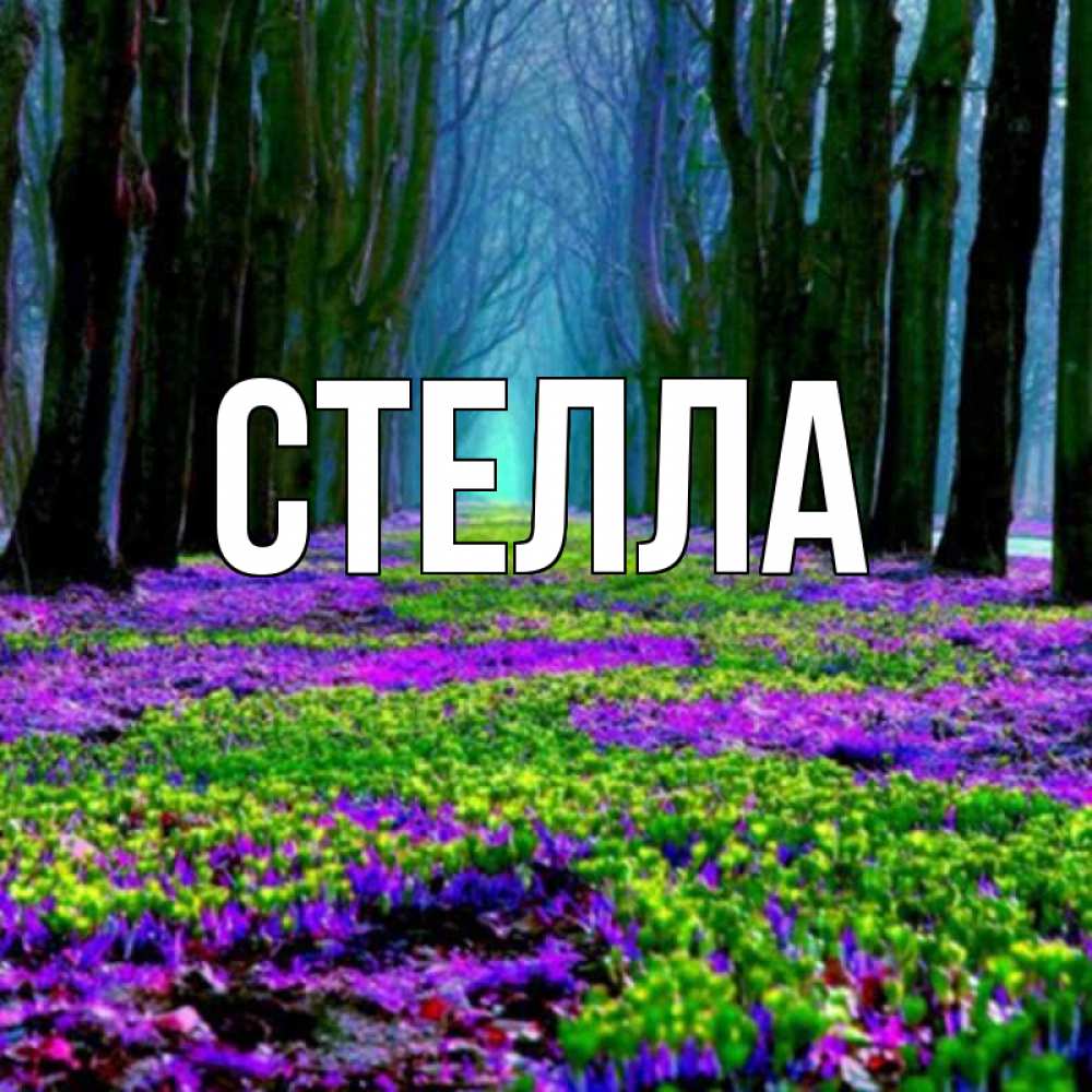 Открытка на каждый день с именем, Стелла Главная фиолетовые цветы в лесу 1 Прикольная открытка с пожеланием онлайн скачать бесплатно 