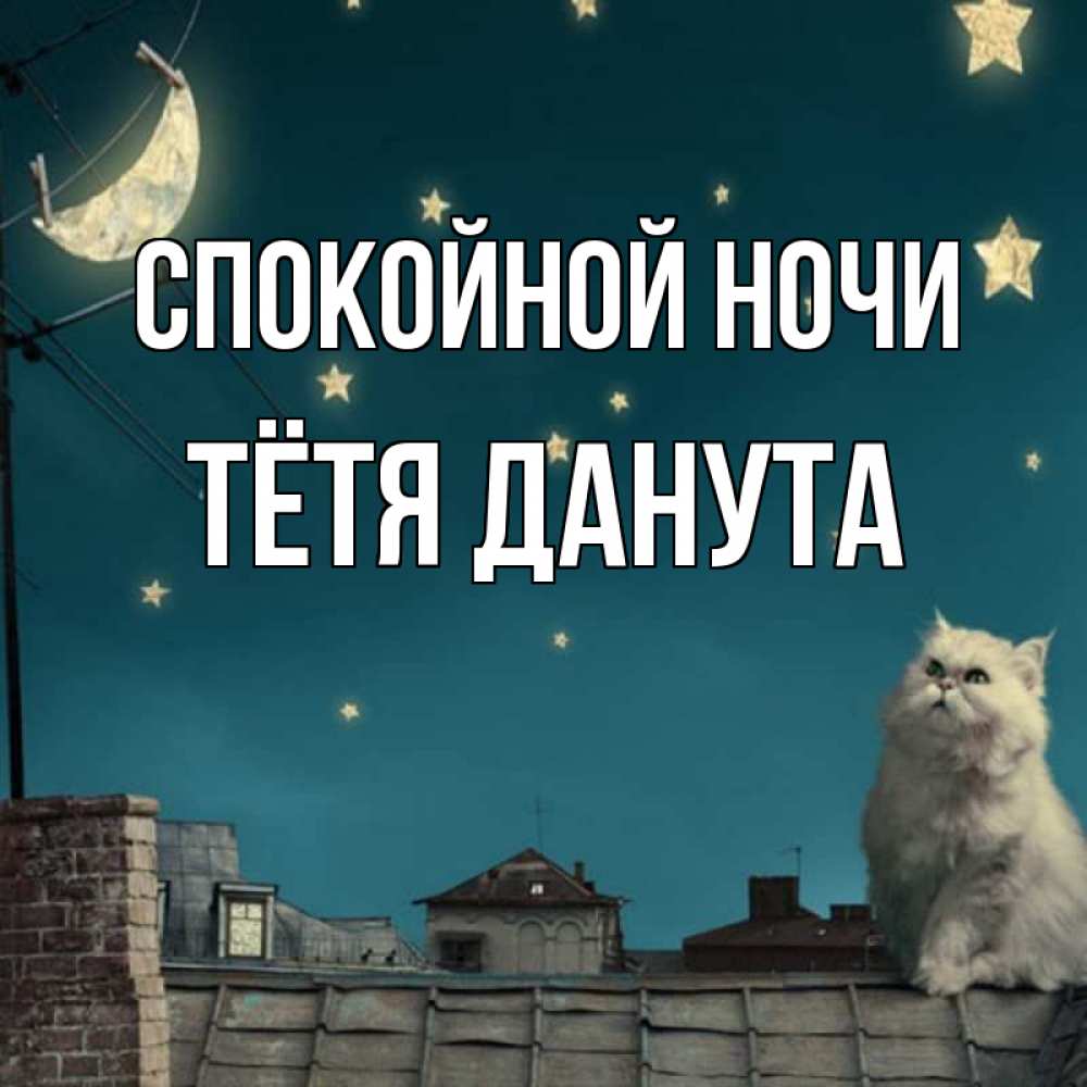 Открытка на каждый день с именем, Тётя-Данута Спокойной ночи белый кот сидит на крыше Прикольная открытка с пожеланием онлайн скачать бесплатно 