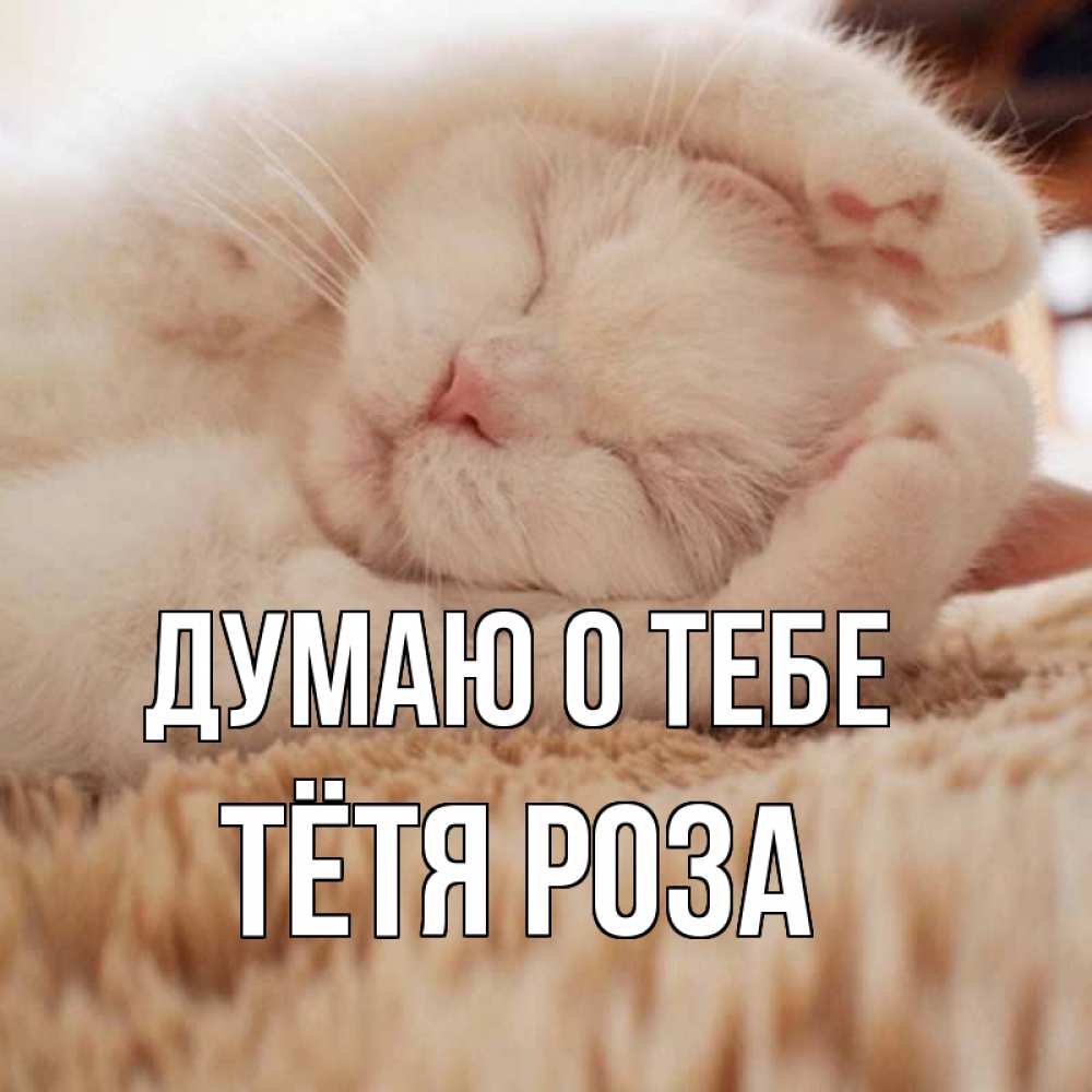 Открытка на каждый день с именем, Тётя-Роза Думаю о тебе для любимой девушки милота Прикольная открытка с пожеланием онлайн скачать бесплатно 