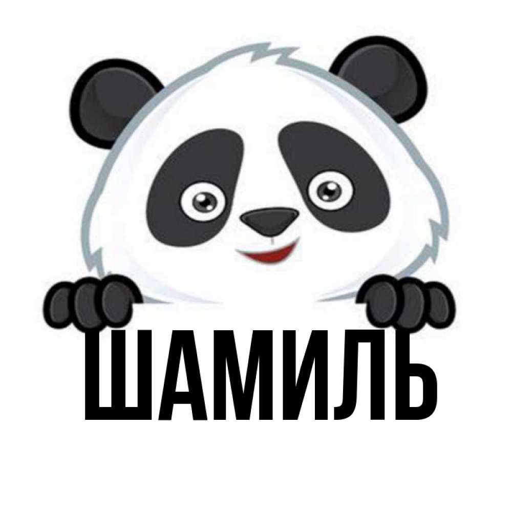 Открытка на каждый день с именем, Шамиль Главная открытка для любимого Прикольная открытка с пожеланием онлайн скачать бесплатно 