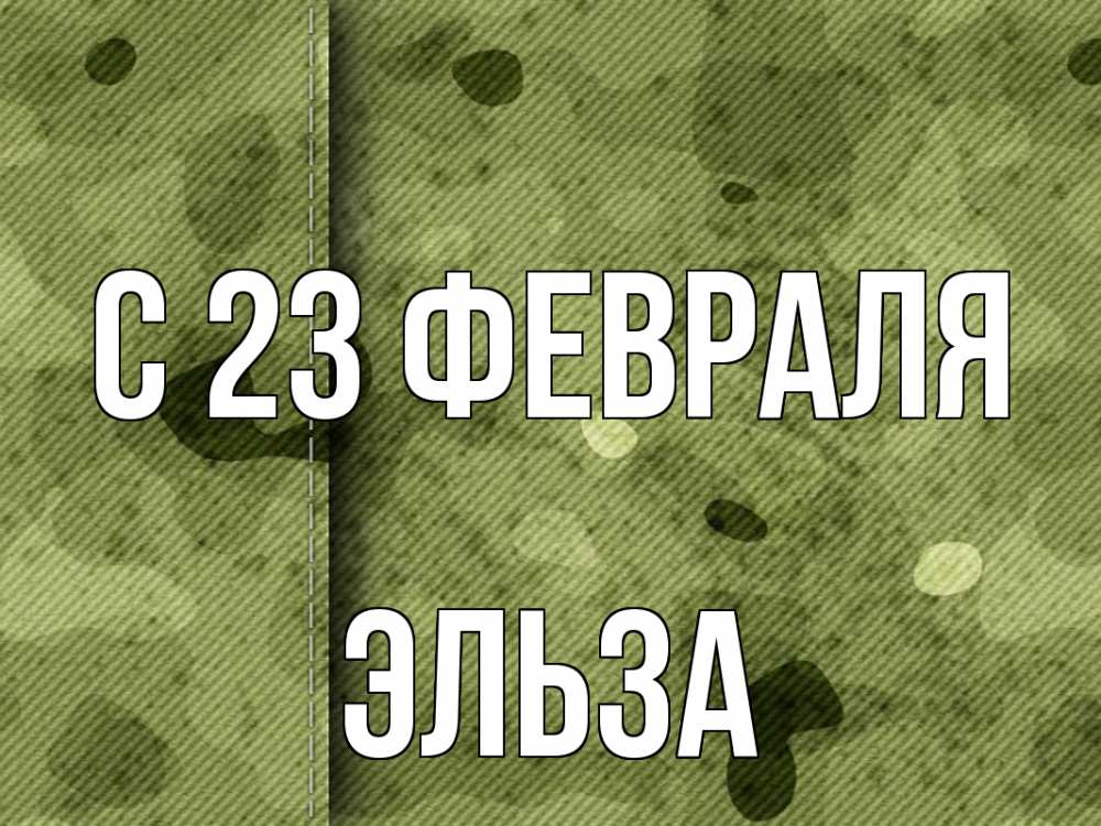 Открытка на каждый день с именем, Эльза С 23 февраля 23 февраля Прикольная открытка с пожеланием онлайн скачать бесплатно 